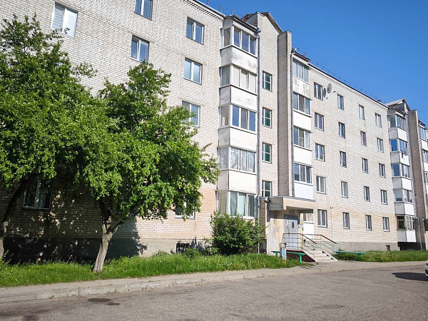 1-комнатная квартира в кирпичном доме, 1-й пер. 14 Партизан