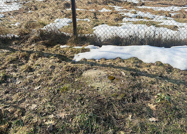 Деревня Знаменка, Логойский район